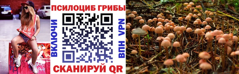 купить наркотик  Гороховец  kraken ССЫЛКА  сайты даркнета как зайти  Галлюциногенные грибы ЛСД 